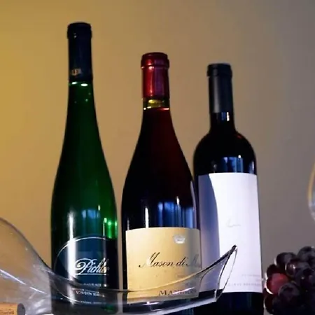 公寓式酒店 & Oberhofer 4*