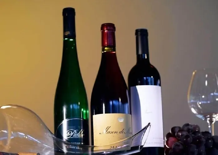 Appart hôtel & Oberhofer 4*