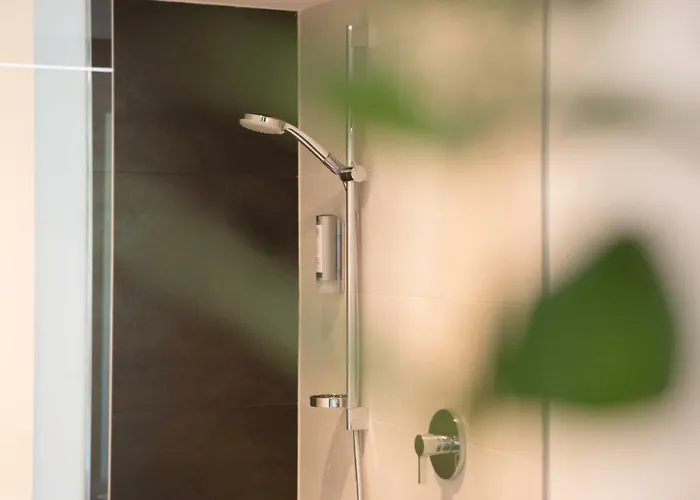 Appart hôtel & Oberhofer 4*